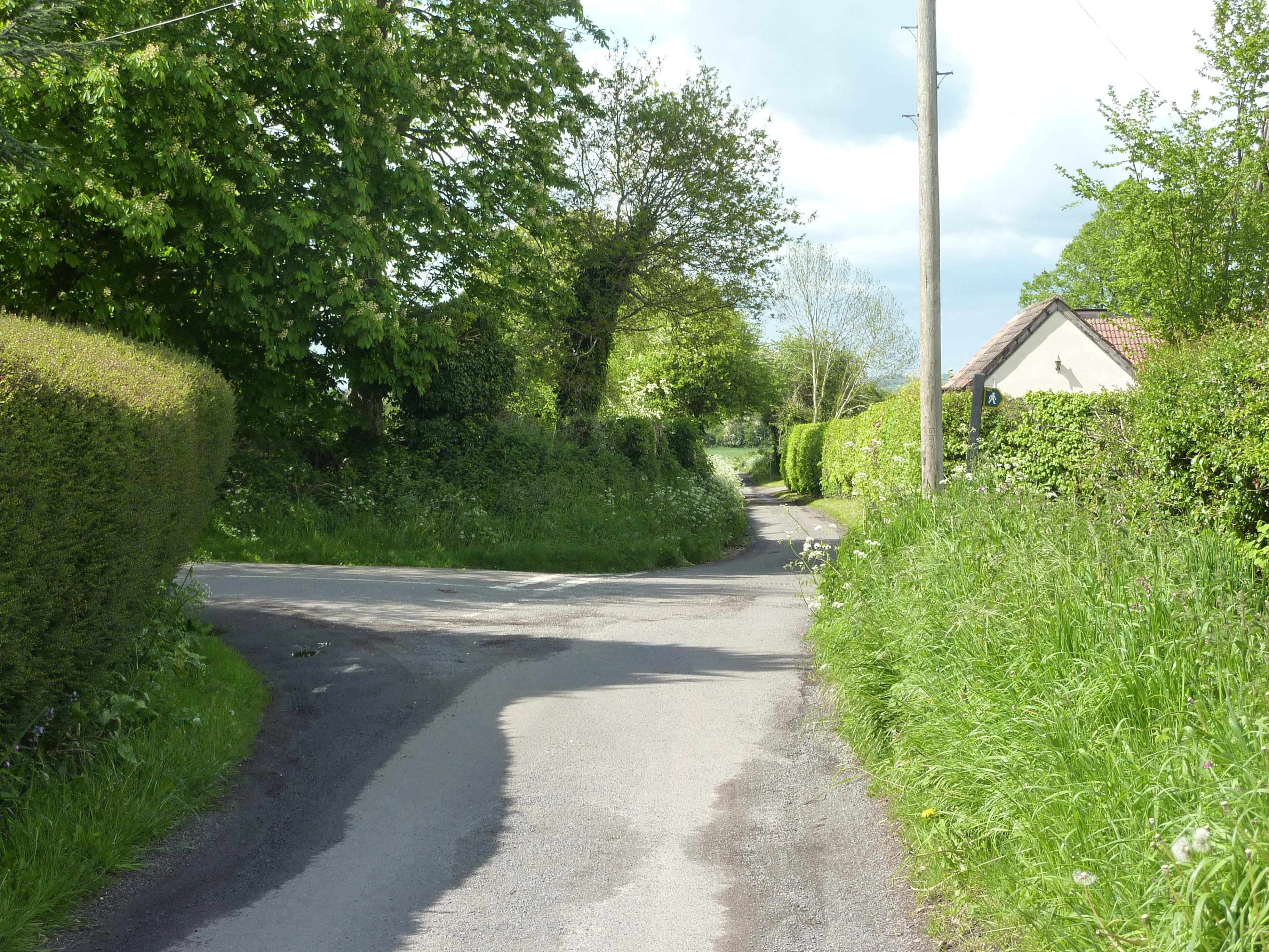 Back Lane